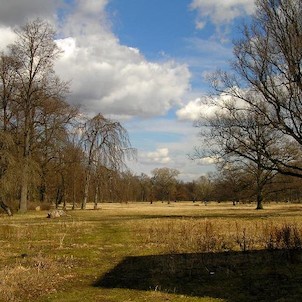 Vintířov, zámecký park s památnými stromy
