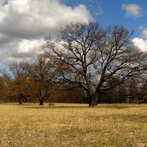 Vintířov, zámecký park