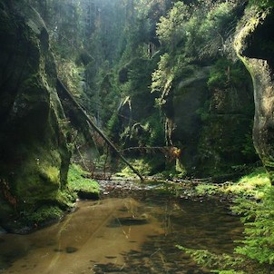 Křinice pod Černou bránou, soutěska Křinice