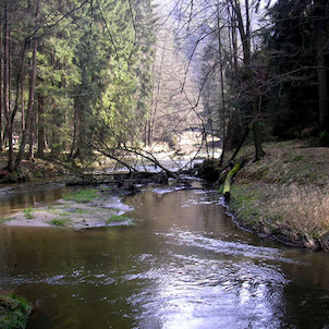 přisoutoku Kamenice s Jetřichovickou Bělou