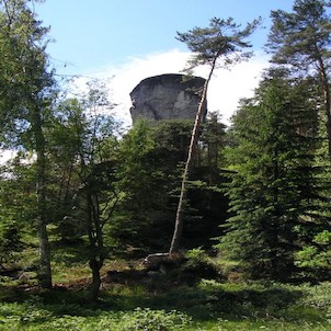 Jetřichovická jehla