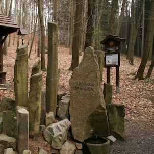 Verunčina studánka u Vlčí hory