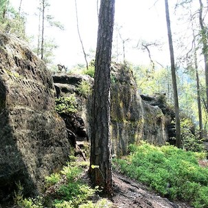 Vlčí hrádek, Hradní příkop 7.5.06