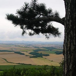 Výhled na Středohoří a Rudnici