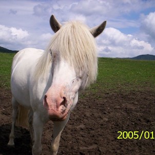 Lukynka,další pěkná ponička!!!!!