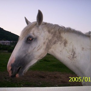 A zase Carita,asi si dopřála bahení koupel!!!!!!!!