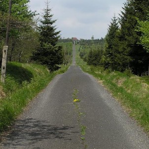 cesta na Lichtewald, pohled od silnice