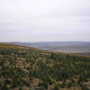 Panoramatický výhled na severozápad, V popředí vlevo Liščí vrch, napravo od něj Ahornberg, uprostřed na obzoru hraniční hřeben zakončený výraznějším Pestrým, pod hřebenem Deutscheinsiedel a Mníšek, v popředí pak Nová Ves v horách a větrné elektrárny na St