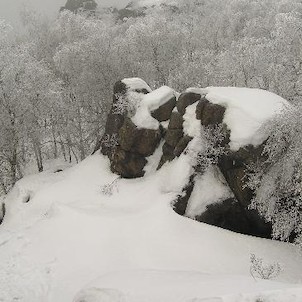 Jeřabina, skály pod rozhlednou