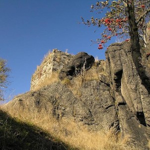 rozhledna Jeřabina, jeřabiny u rozhledny