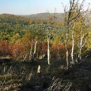 U Jeřabiny, výhled ze skal na vrcholu