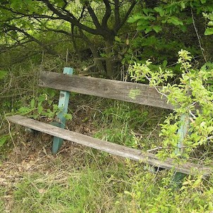 na Zlatníku, lavička na červené značce kousek pod vrcholem