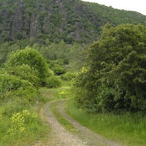 pod Zlatníkem, odbočka na červenou značku pod kopcem