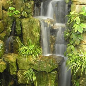 Vodopád v tropickém skleníku