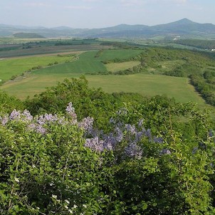 výhled z Doubravky, směrem na České Středohoří