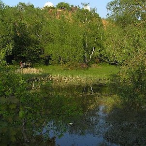 Písečný vrch, pohled přes rybníček pod skálou
