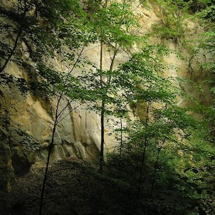 pod vodopádem, pískovcová stěna v údolí potoka