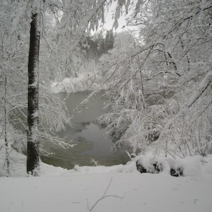 1.Jarní den 2007  v zámeckém parku.