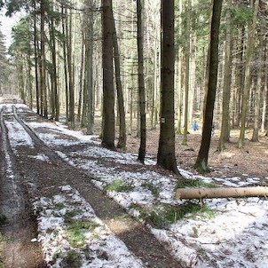 Cesta na hranici rezervace