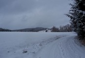 Pohled na část Markvarce,patřící pod Novou Cerekev