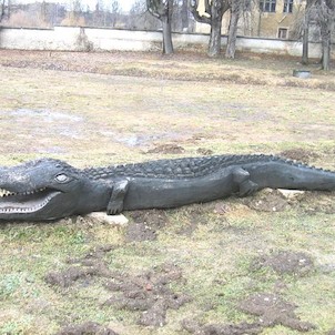 Volně ležící krokodýl v zámeckém parku