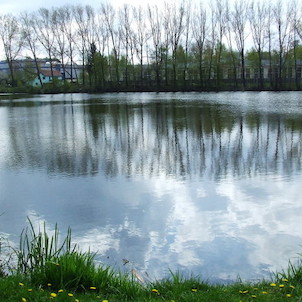 Počátky - rybník
