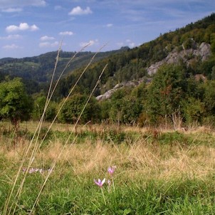 Pulčínské skály na podzim