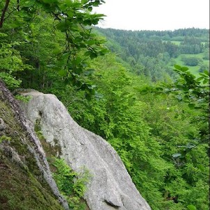 Pulčín