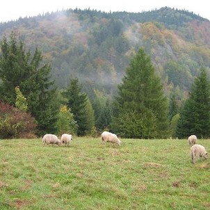 Pulčín 2005, říjen