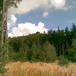 Hrad Oltařík (Hrádek)