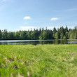 Malý Pařezitý rybník
