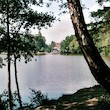 Rybník Jureček Rybník Jureček