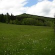 Zřícenina Fürstenwalde