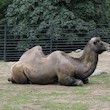 Zoologická zahrada Liberec Zoologická zahrada Liberec