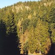 Dračí skály u Rejštejna