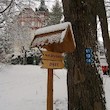 Zřícenina kostela sv.Linharta Zřícenina kostela sv.Linharta