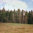 Čeřínek