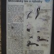 Milíčovský les a rybníky