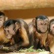 Zoologická zahrada Plzeň Zoologická zahrada Plzeň