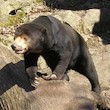 Zoologická zahrada Jihlava Zoologická zahrada Jihlava