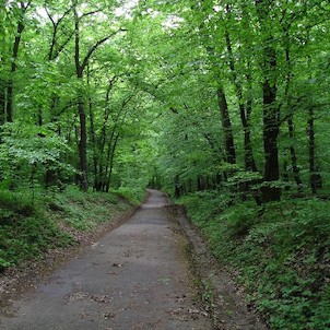 Chuchelským hájem