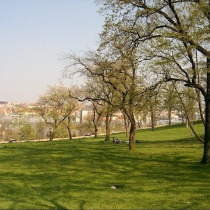 Park Sacré Coeur