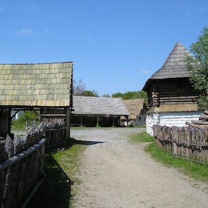 řepora