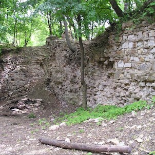 Nový hrad, zřícenina