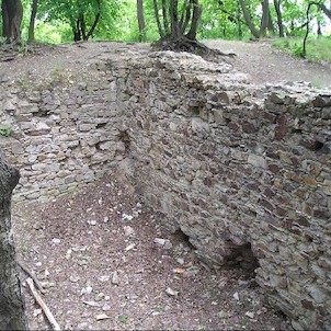 Nový Hrad, zřícenina