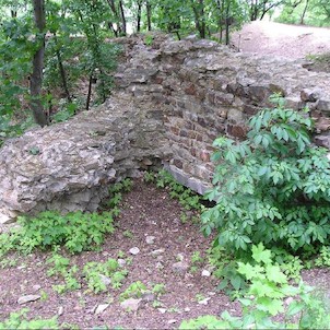 Nový Hrad, zřícenina