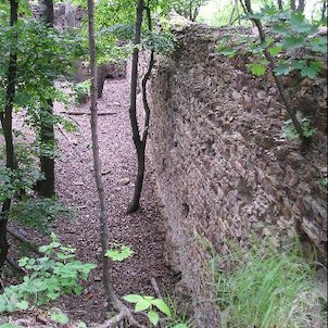 Nový Hrad, zřícenina