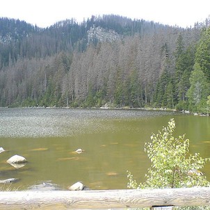 Plešné jezero