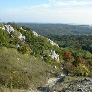 Cesta na Děvín