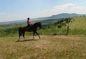 Pouzdřanská step,turistika na koni